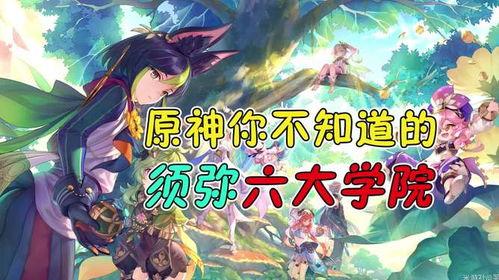 原神最新须弥爆料解说图,原神最新爆料图深度解析 第3张 原神最新须弥爆料解说图,原神最新爆料图深度解析 第3张